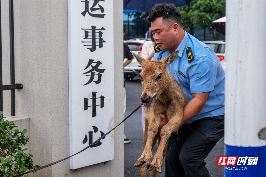 微信图片_20260714161529_50_78(1).jpg 微信图片_20260714161529_50_78(1).jpg