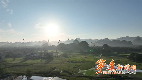 宁远:夏日晨曦绘就十里生态画卷4_副本500.jpg 宁远:夏日晨曦绘就十里生态画卷4_副本500.jpg