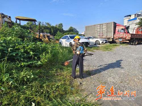 宁远县文庙街道:清积水灭蚊虫 筑牢“两热”防控线_副本500.jpg 宁远县文庙街道:清积水灭蚊虫 筑牢“两热”防控线_副本500.jpg