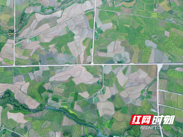 DJI_0799.JPG