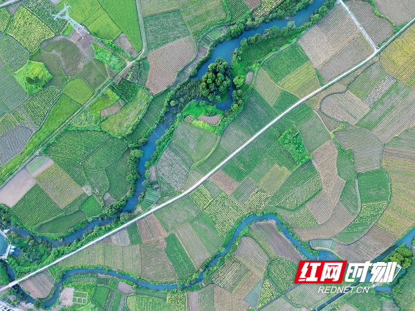 DJI_0786.JPG