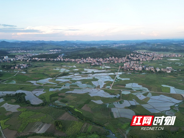 DJI_0783.JPG