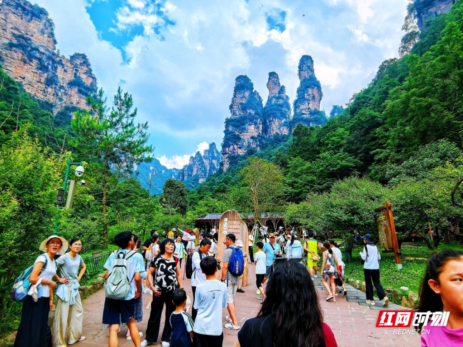 微信图片_20260716100558_183_4(1).jpg 微信图片_20260716100558_183_4(1).jpg