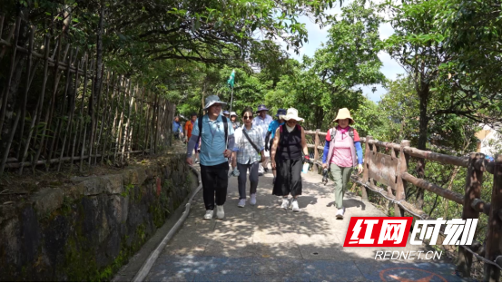 宜章莽山：加速“圈粉”境外游客603.png