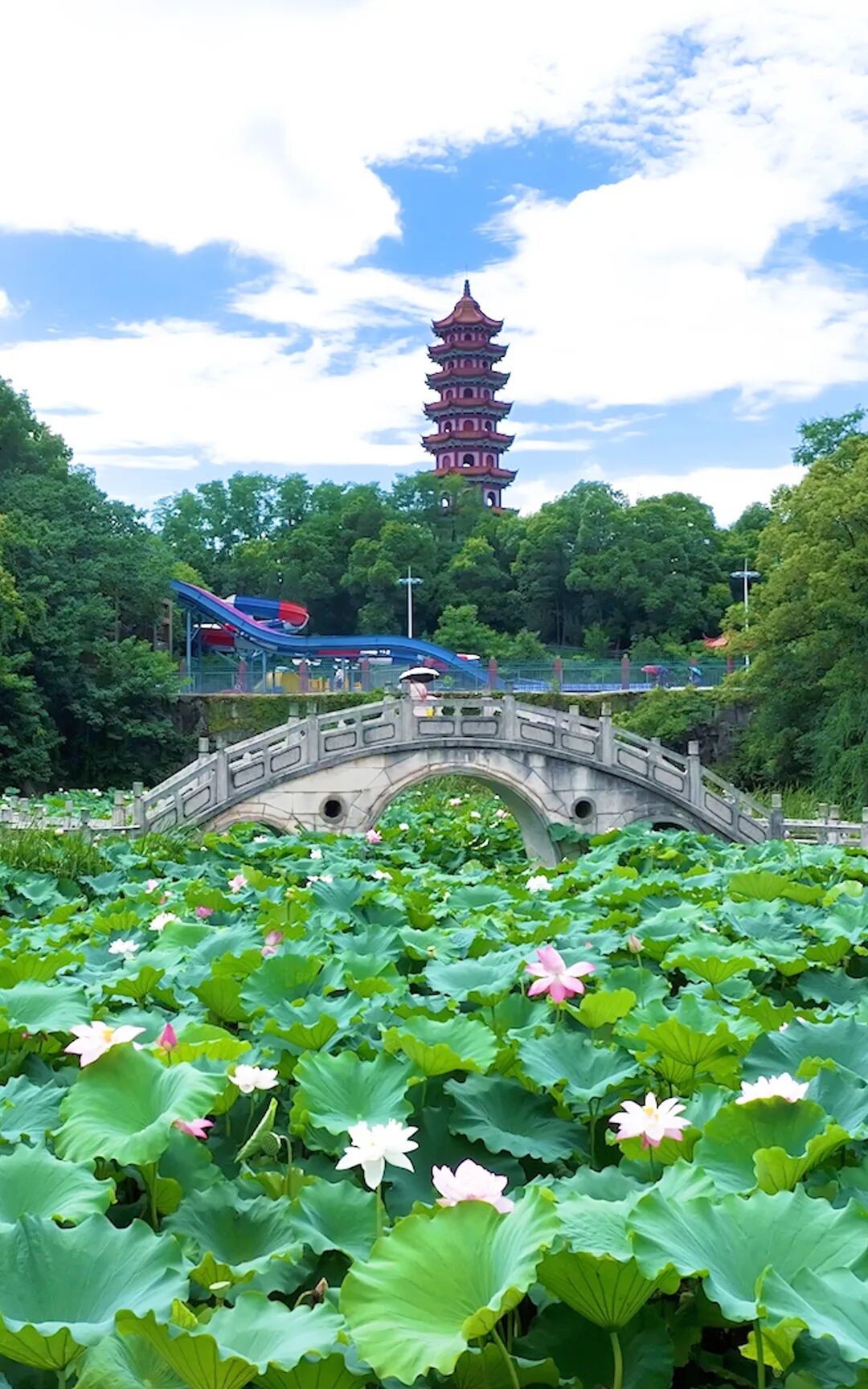 图片 图片
