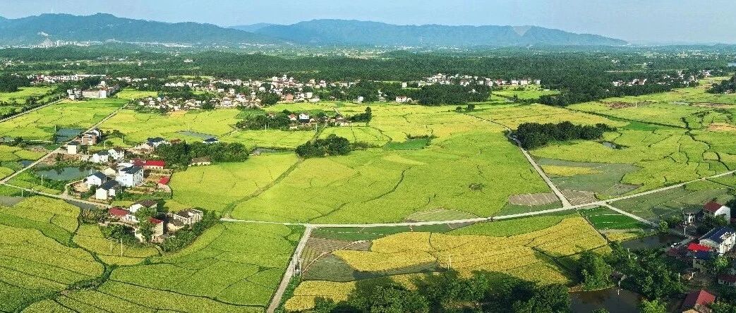 2.4亿元!国家下达资金支持湖南开展和美乡村建设