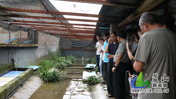 我县农技下乡“精准赋能” 蛙产业铺就致富路2.jpg 我县农技下乡“精准赋能” 蛙产业铺就致富路2.jpg