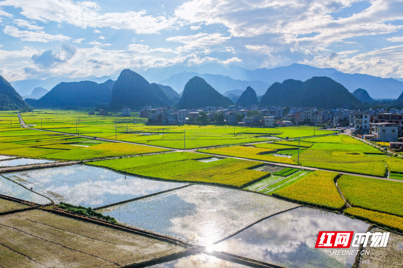 DJI_20260716173227_0057_D 拷贝.jpg DJI_20260716173227_0057_D 拷贝.jpg
