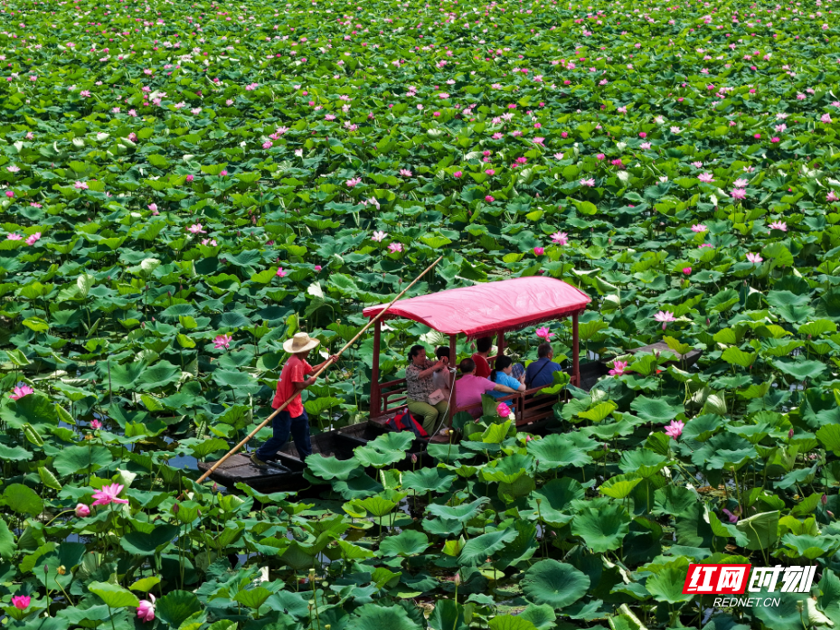 DJI_20260628105524_0037_D 拷贝.jpg