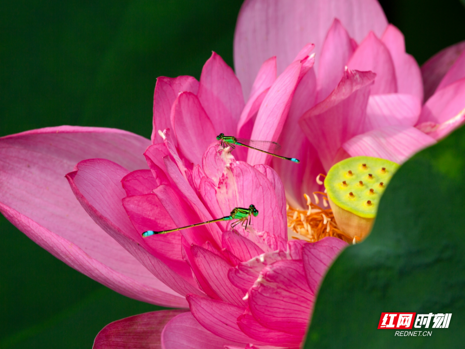 2R2A8214 拷贝.jpg