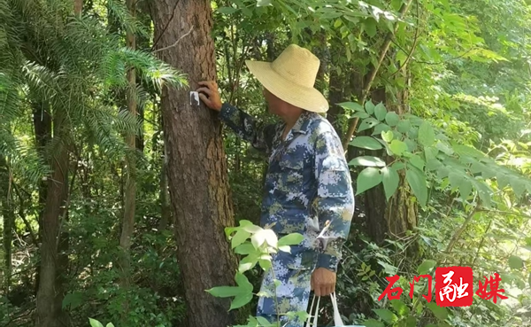 图片2.jpg 图片2.jpg