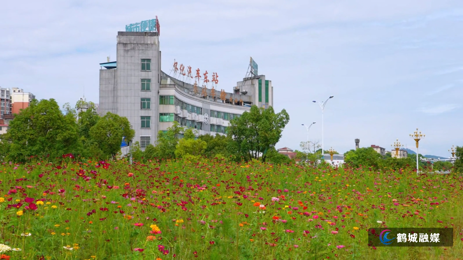 小花园.mp4_20260717_155656.588.jpg 小花园.mp4_20260717_155656.588.jpg