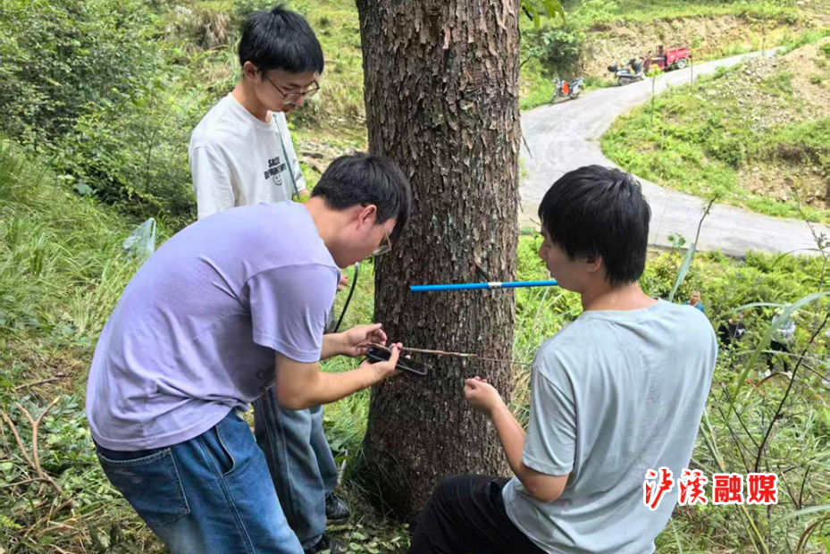 林业局营林培训.jpg2.jpg 林业局营林培训.jpg2.jpg