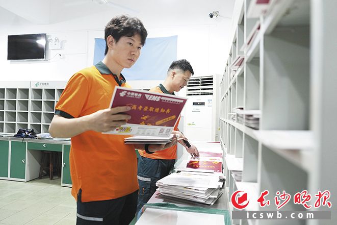 揽投人员使用设备逐件扫描通知书条码信息,完成系统收寄录入。 长沙晚报全媒体记者 邹麟 摄