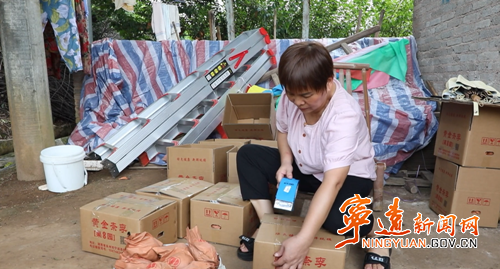 【永冲锋·拼经济·促发展】宁远黄金奈李迎丰收 产销两旺助增收3_副本500.png 【永冲锋·拼经济·促发展】宁远黄金奈李迎丰收 产销两旺助增收3_副本500.png