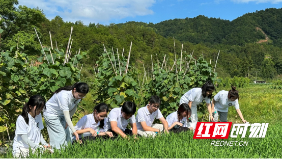 微信图片_2026-07-21_192324_237.png 微信图片_2026-07-21_192324_237.png