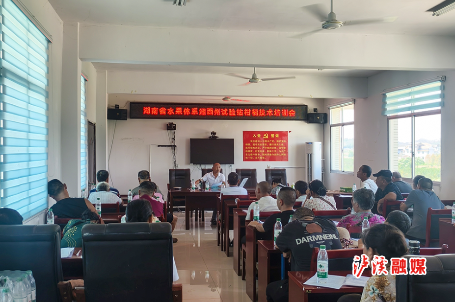 图片9.png 图片9.png
