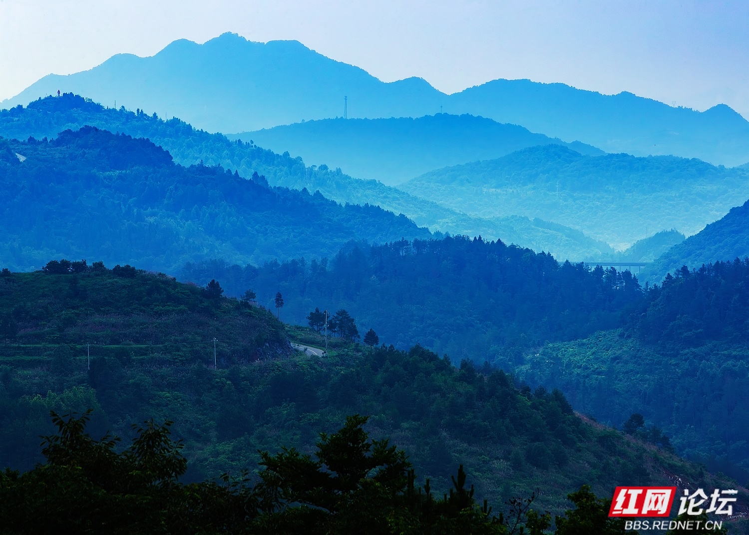 生态文学丨滕军钊：与山同息
