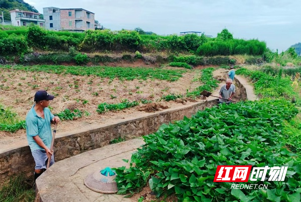 微信图片_20260719123022_80_1303.jpg 微信图片_20260719123022_80_1303.jpg