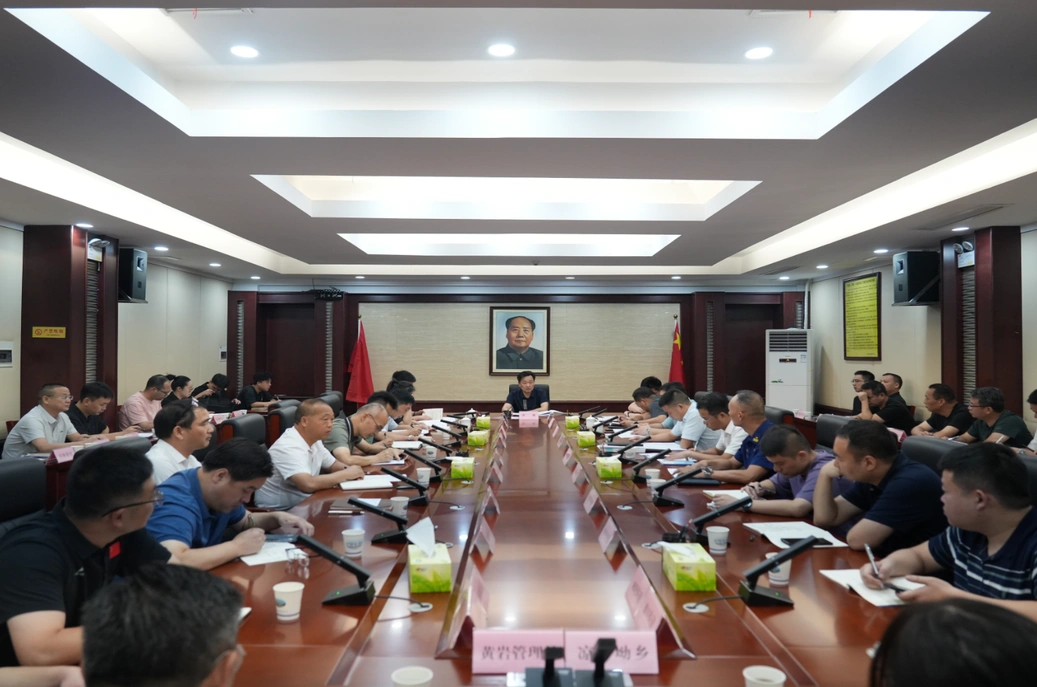 唐成主持召开全区消防领域安全生产工作推进会