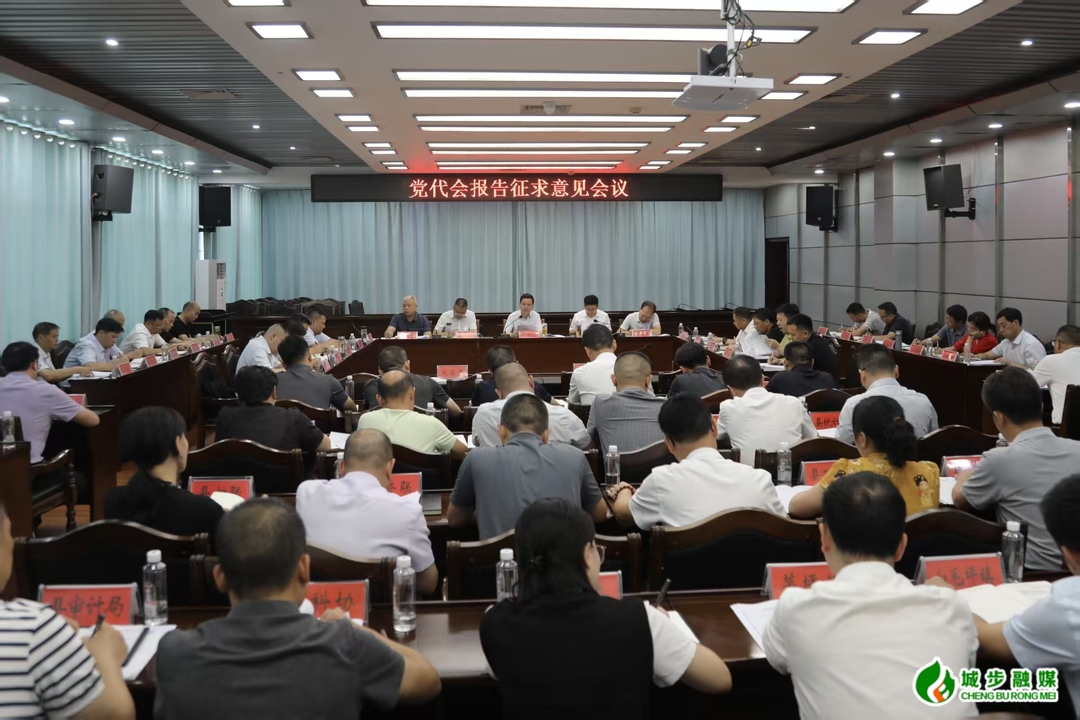 城步召开县委第十四次党代会报告征求意见会(图3)