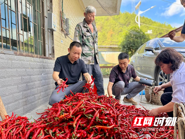 图片33.png