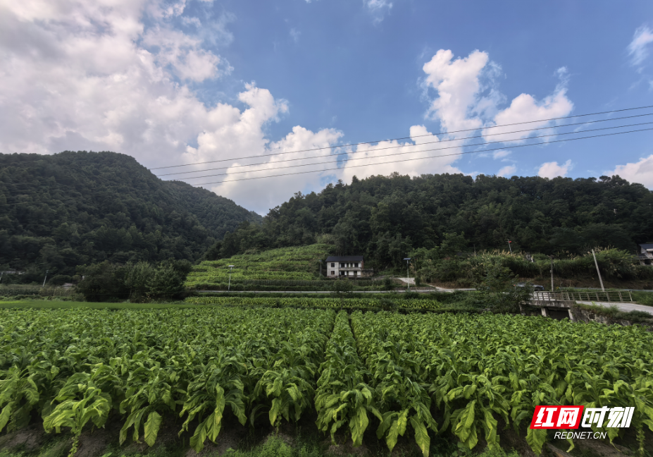 微信图片_2026-07-24_181158_212.png 微信图片_2026-07-24_181158_212.png