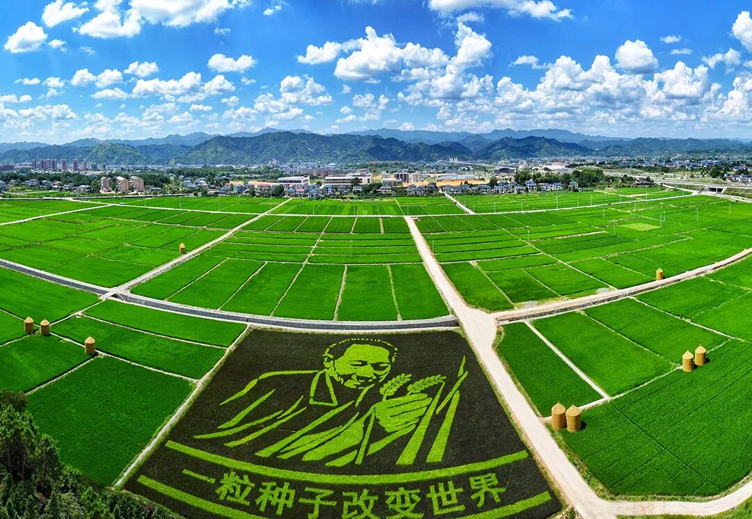 一粒种子改变世界.jpg