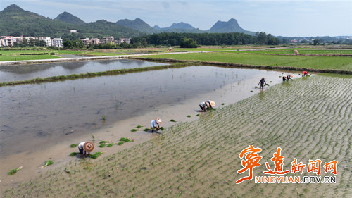 【美景不远·就在宁远】宁远：盛夏耕耘不停歇_副本500.jpg