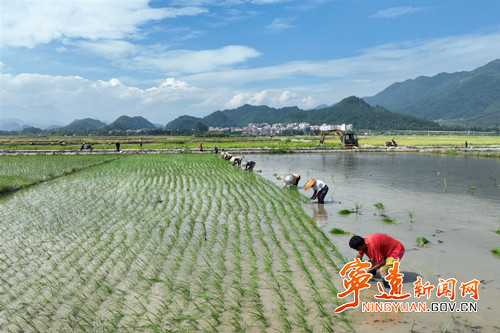 【美景不远·就在宁远】宁远：盛夏耕耘不停歇2_副本500.jpg