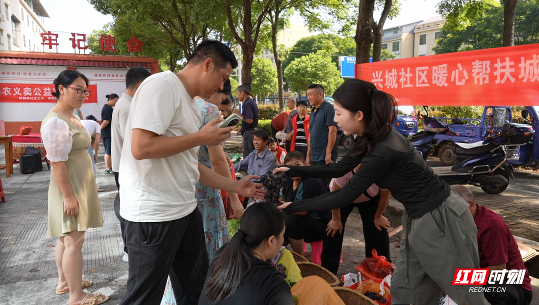 微信图片_20260727100224_127_8.png