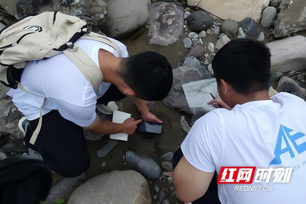 WPS图片(6).png