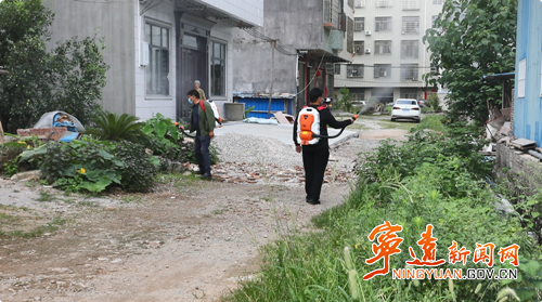 宁远：扎实推进“两热”蚊媒传染病防控工作_副本500.png