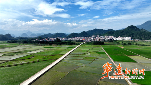 【美景不远·就在宁远】宁远：盛夏耕耘不停歇3_副本500.jpg