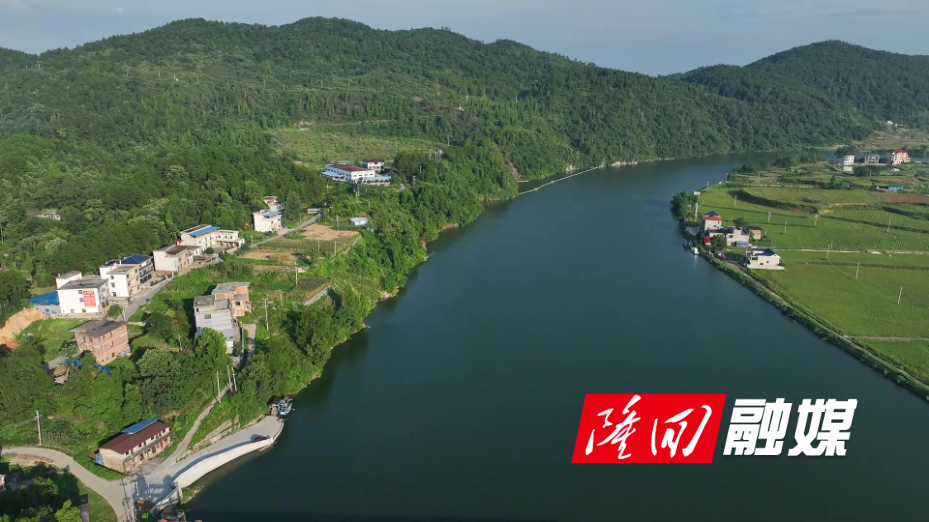 隆回：开展水生生物增殖放流 90万尾鱼苗筑牢水域生态屏障.jpg