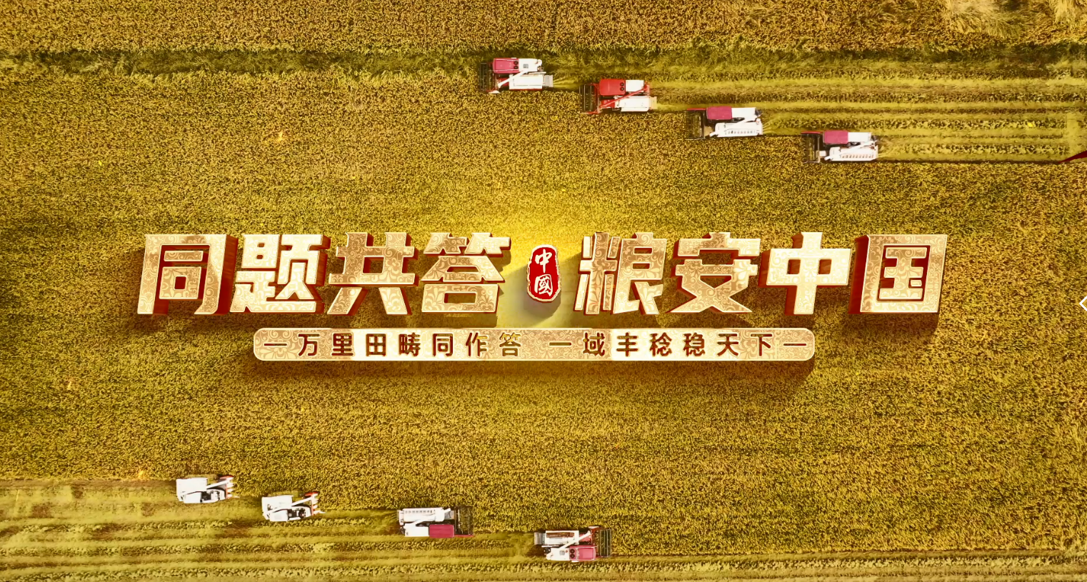专题丨同题共答·粮安中国