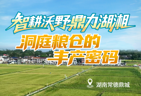 同题共答·粮安中国丨智耕沃野 鼎力湖湘——洞庭粮仓的丰产密码