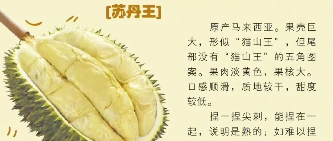 如何选到“报恩榴莲”？关于榴莲的实用小科普来了！