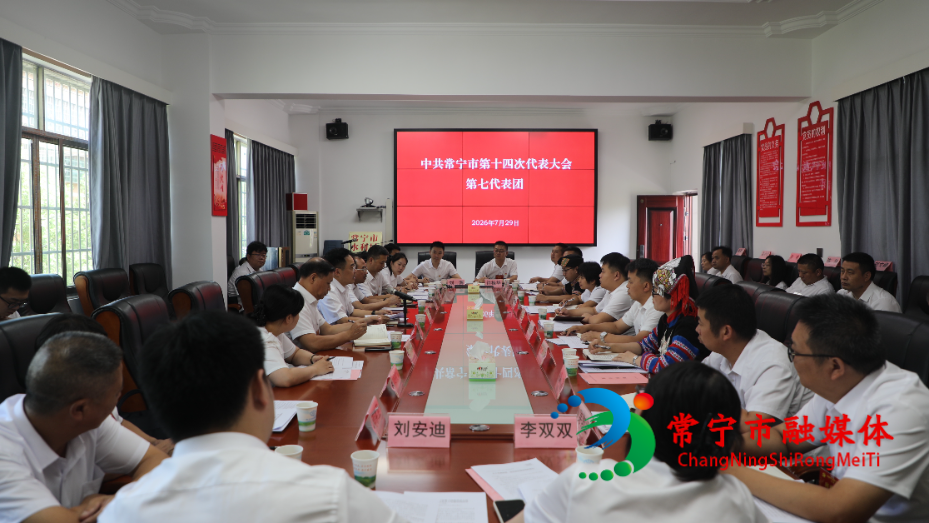 罗卫华参加市第十四次党代会第七代表团讨论.jpg