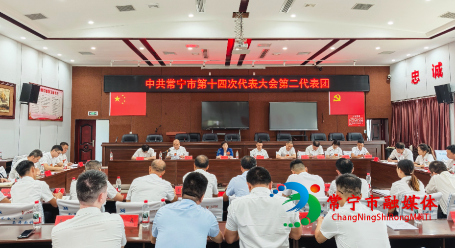 邓艳红参加市第十四次党代会第二代表团讨论.jpg