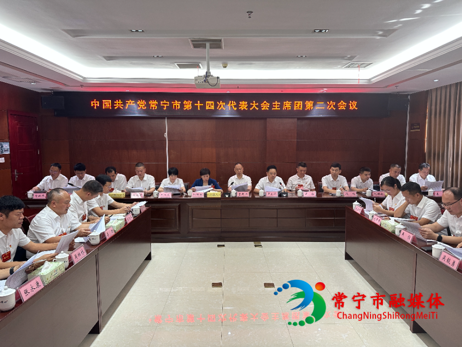 市第十四次党代会主席团举行第二次会议.jpg