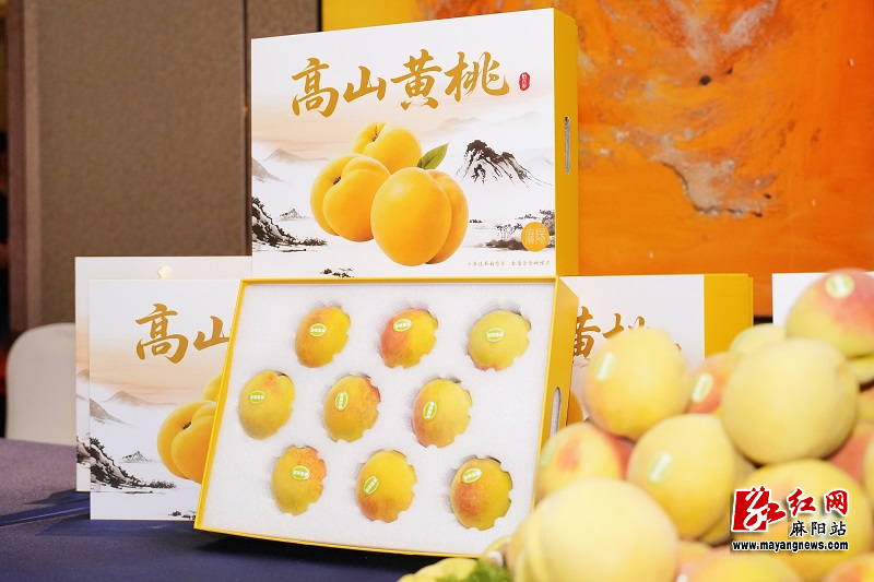 微信图片_20260730155716.jpg