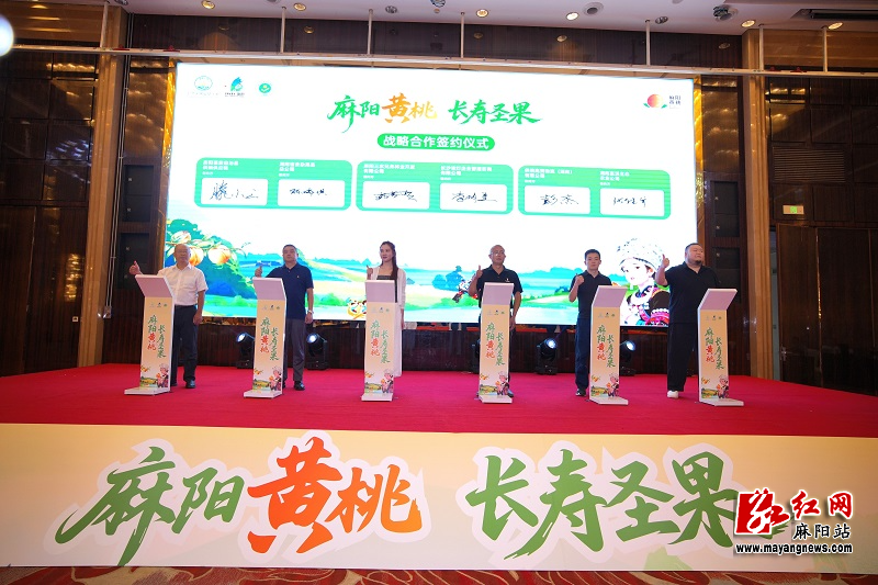 微信图片_20260730155636.jpg