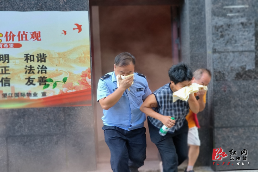 图片11.png 图片11.png