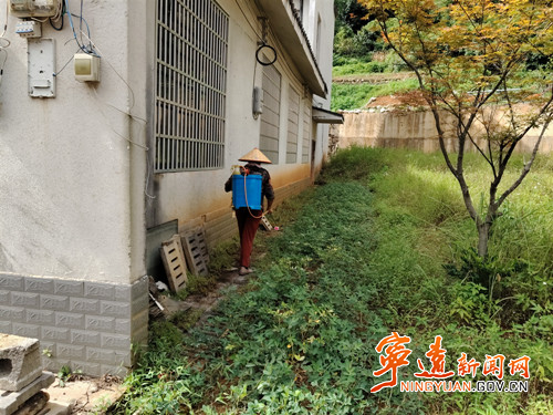 宁远县九疑瑶族乡：全力织密登革热防控网_副本500.jpg