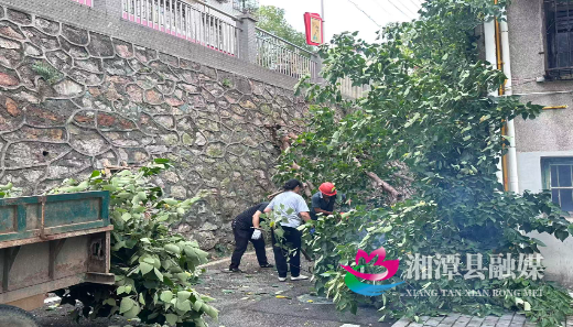 微信图片_20260804101430_41_5.jpg 微信图片_20260804101430_41_5.jpg