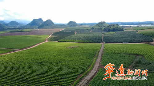 宁远县太平镇:盘活闲置土地 赋能乡村振兴_副本500.jpg 宁远县太平镇:盘活闲置土地 赋能乡村振兴_副本500.jpg