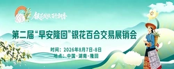 专题丨第二届“早安隆回”银花百合交易展销会
