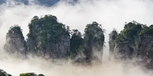 来张家界清凉一夏