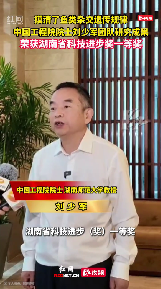 聚焦湖南省科学技术奖